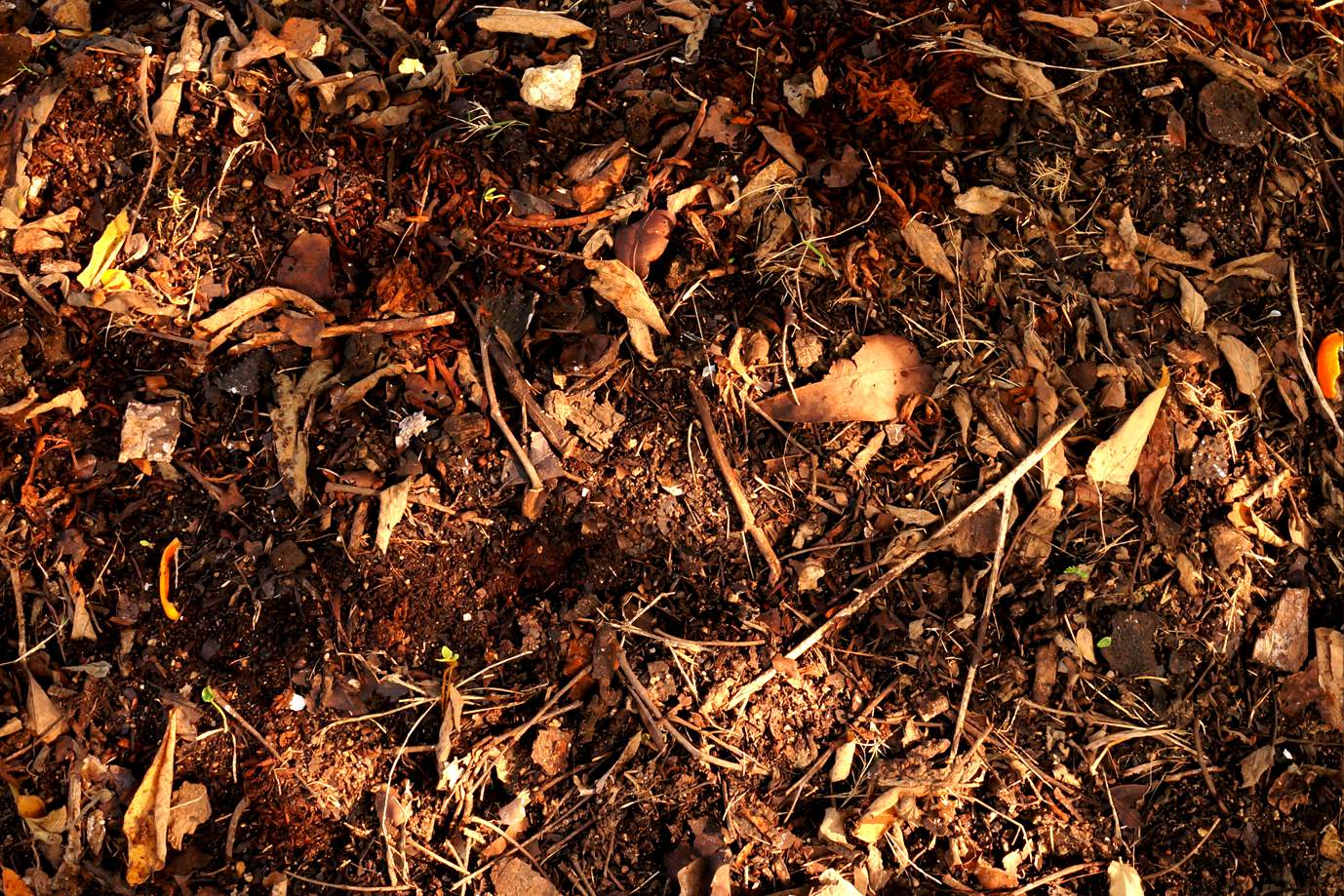 Compost Giveaway in West Covina - Athens Services - Composting - Athens in the news - Community Services